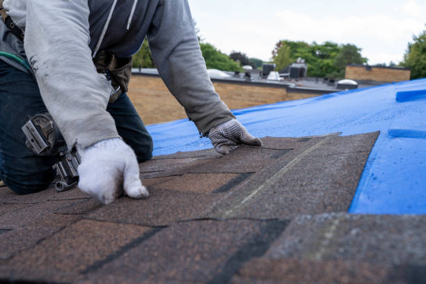 Best Roof Maintenance Services  in Sherrill, NY