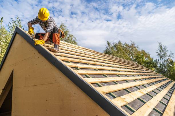 Best Roof Gutter Cleaning  in Sherrill, NY