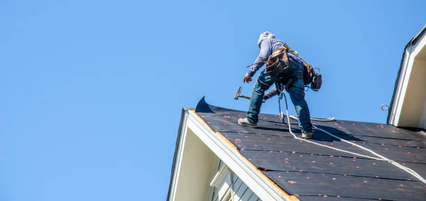 Roof Gutter Cleaning in Sherrill, NY